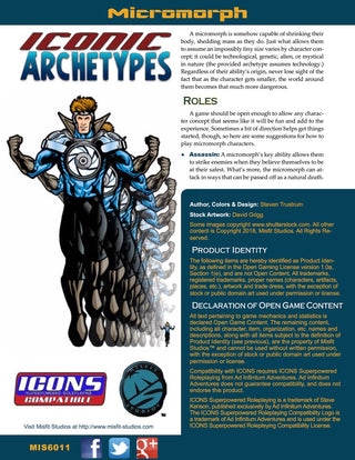 Iconic Archetypes: Micromorph